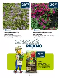 Mrówka gazetka Strona 4