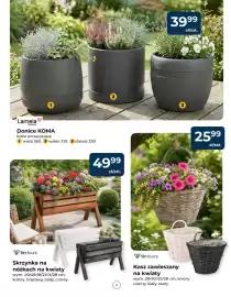 Mrówka gazetka Strona 5