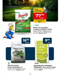 Mrówka gazetka Strona 7