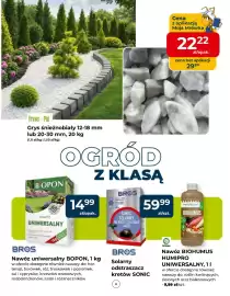 Mrówka gazetka Strona 8