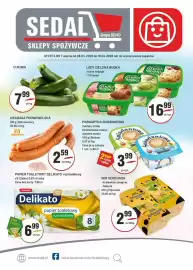 Sedal gazetka Strona 1