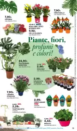 Volantino Ipercoop Pagina 13