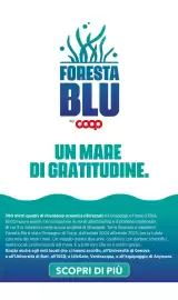 Volantino Ipercoop Pagina 29