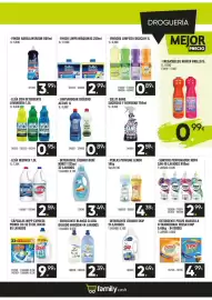Catálogo Family Cash Página 13