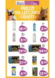 Volantino Ayoka Pagina 10