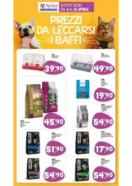 Volantino Ayoka Pagina 12