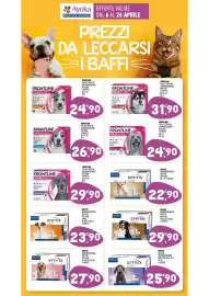 Volantino Ayoka Pagina 15