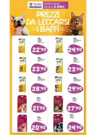 Volantino Ayoka Pagina 16