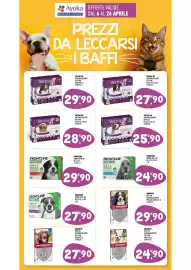 Volantino Ayoka Pagina 17