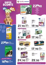 Volantino Ayoka Pagina 2