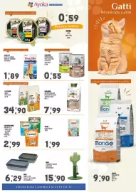 Volantino Ayoka Pagina 5
