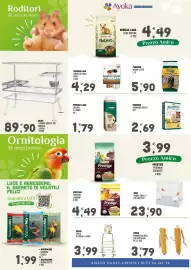 Volantino Ayoka Pagina 6