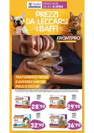 Volantino Ayoka Pagina 9