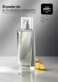 Catálogo Avon Página 103