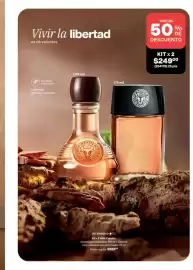 Catálogo Avon Página 105