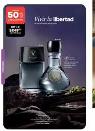 Catálogo Avon Página 106