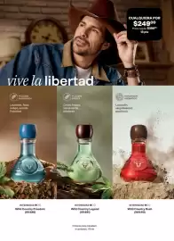 Catálogo Avon Página 107