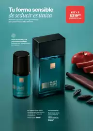 Catálogo Avon Página 109