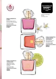 Catálogo Avon Página 67