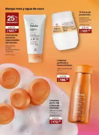 Catálogo Natura Página 102