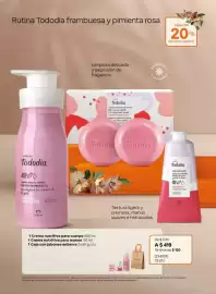 Catálogo Natura Página 17