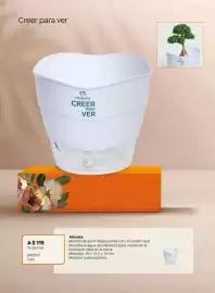Catálogo Natura Página 22