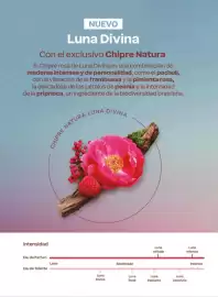 Catálogo Natura Página 27