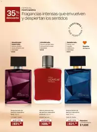 Catálogo Natura Página 31