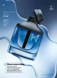 Catálogo Natura Página 37