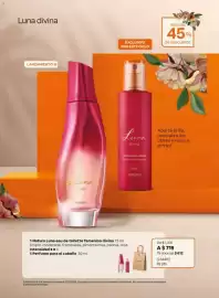 Catálogo Natura Página 7
