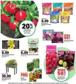 Meijer weekly ad Page 2