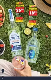 Biedronka gazetka | Alkohole Strona 24