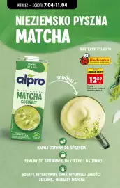 Biedronka gazetka Strona 42