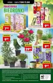 Biedronka gazetka Strona 90