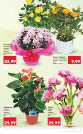 Catalog Kaufland săptămâna 15 Pagină 9