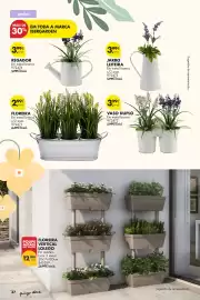 Folheto Pingo Doce | Bazar Primavera Página 38