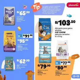 Catálogo Plaza Vea Página 13