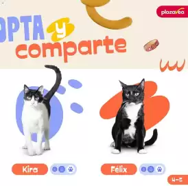 Catálogo Plaza Vea Página 5