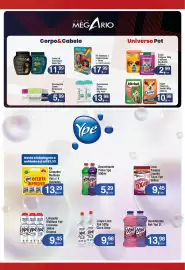 Encarte Royal Supermercados Página 13