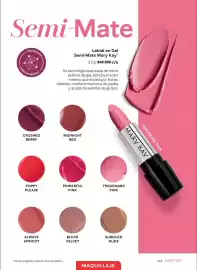 Catálogo Mary Kay Página 115