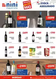 Catálogo Nini Mayorista Página 17