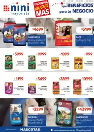 Catálogo Nini Mayorista Página 39