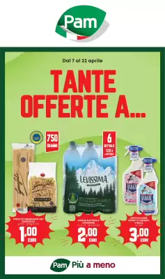Volantino Pam (valido fino al 22-04)