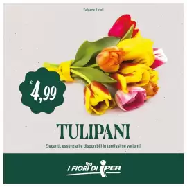 Volantino Iper La Grande Pagina 34