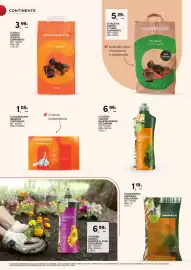 Folheto Continente | Marcas Continente Página 38