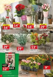 Twój Market gazetka tydzień 15 Strona 18