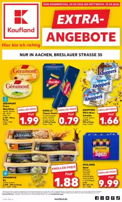 Kaufland DE folder (geldig t/m 15-04)
