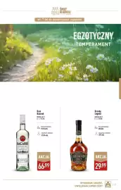 ALDI gazetka | Alkohole Strona 21