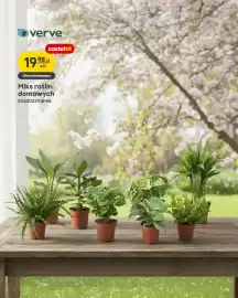 Castorama gazetka Strona 7