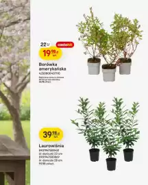 Castorama gazetka Strona 8